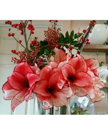 Beautiful Amaryllis Arrangement